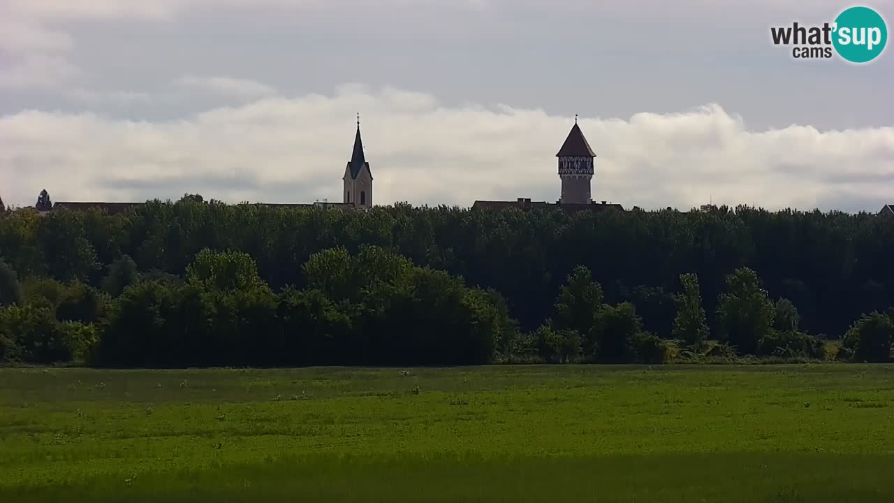 Live Webcam Brežice lake on Sava river – Slovenia