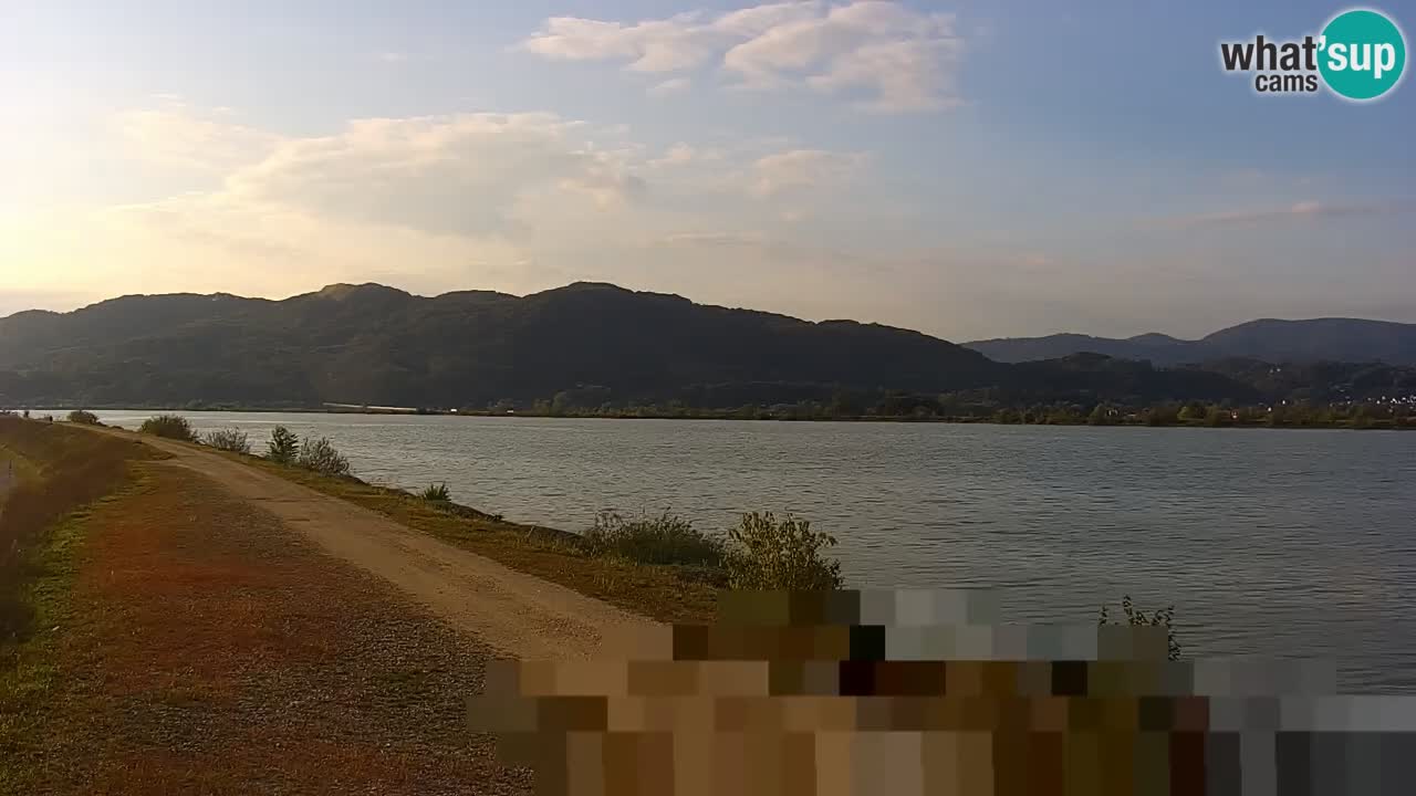 Webcam en vivo lago Brežice en el río Sava – Eslovenia