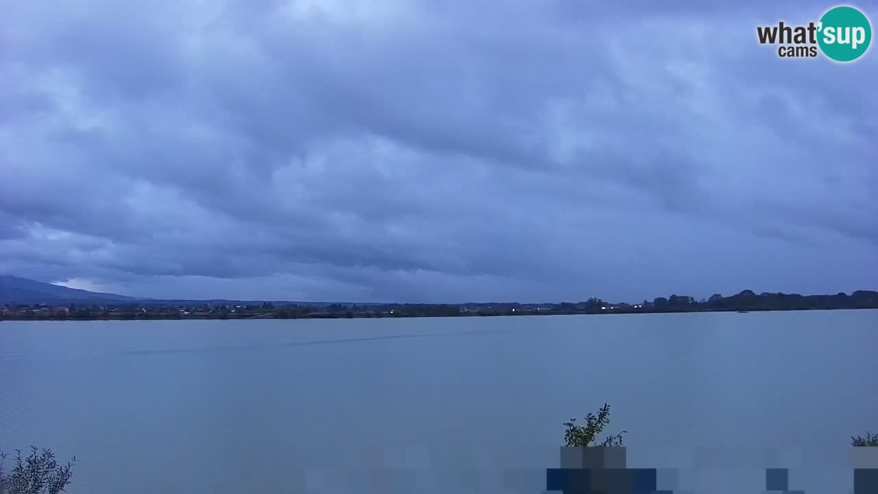 Webcam en direct Lac Brežice sur la rivière Sava – Slovénie