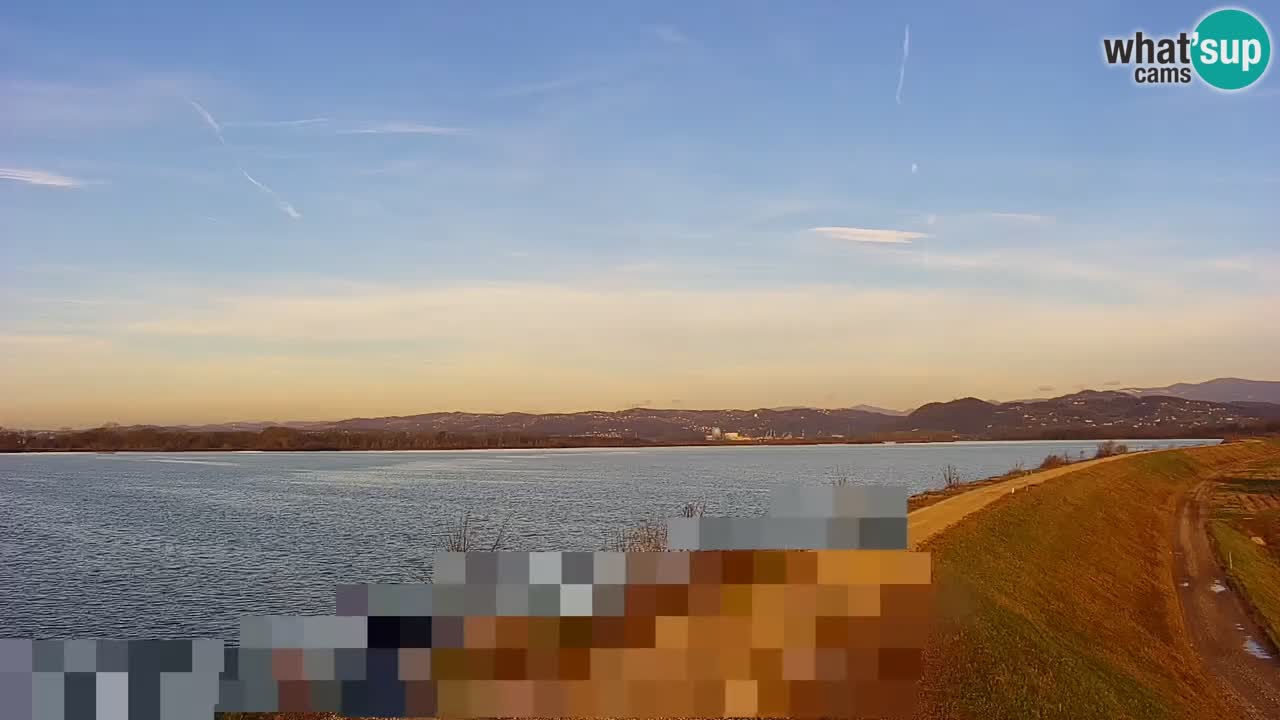 Webcam en vivo lago Brežice en el río Sava – Eslovenia