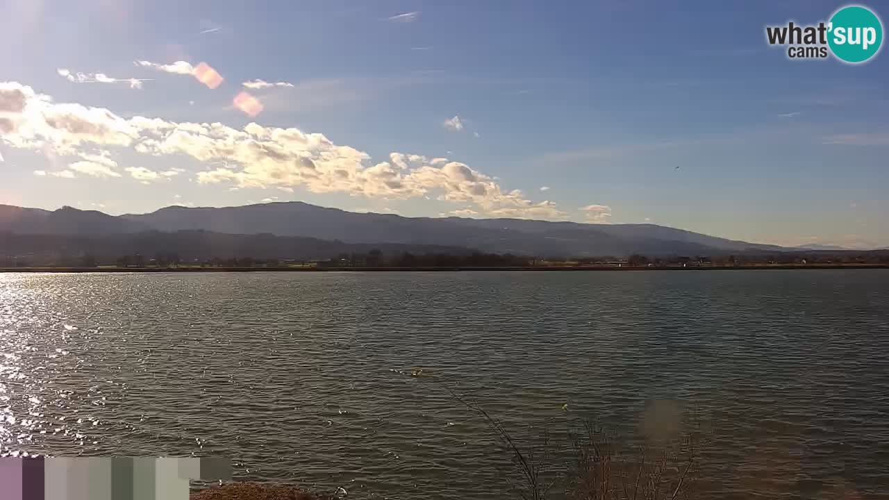 Live Webcam Lago di Brežice sul fiume Sava – Slovenia