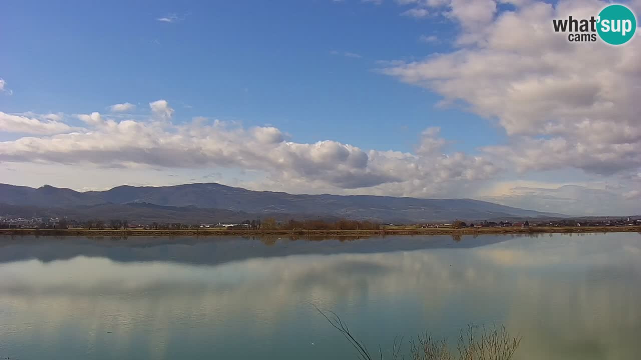 Web kamera uživo Jezero Brežice na rijeci Savi – Slovenija