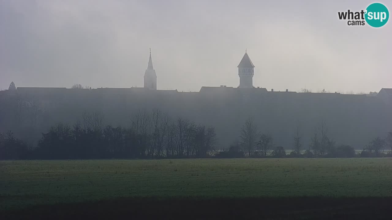 Webcam en vivo lago Brežice en el río Sava – Eslovenia