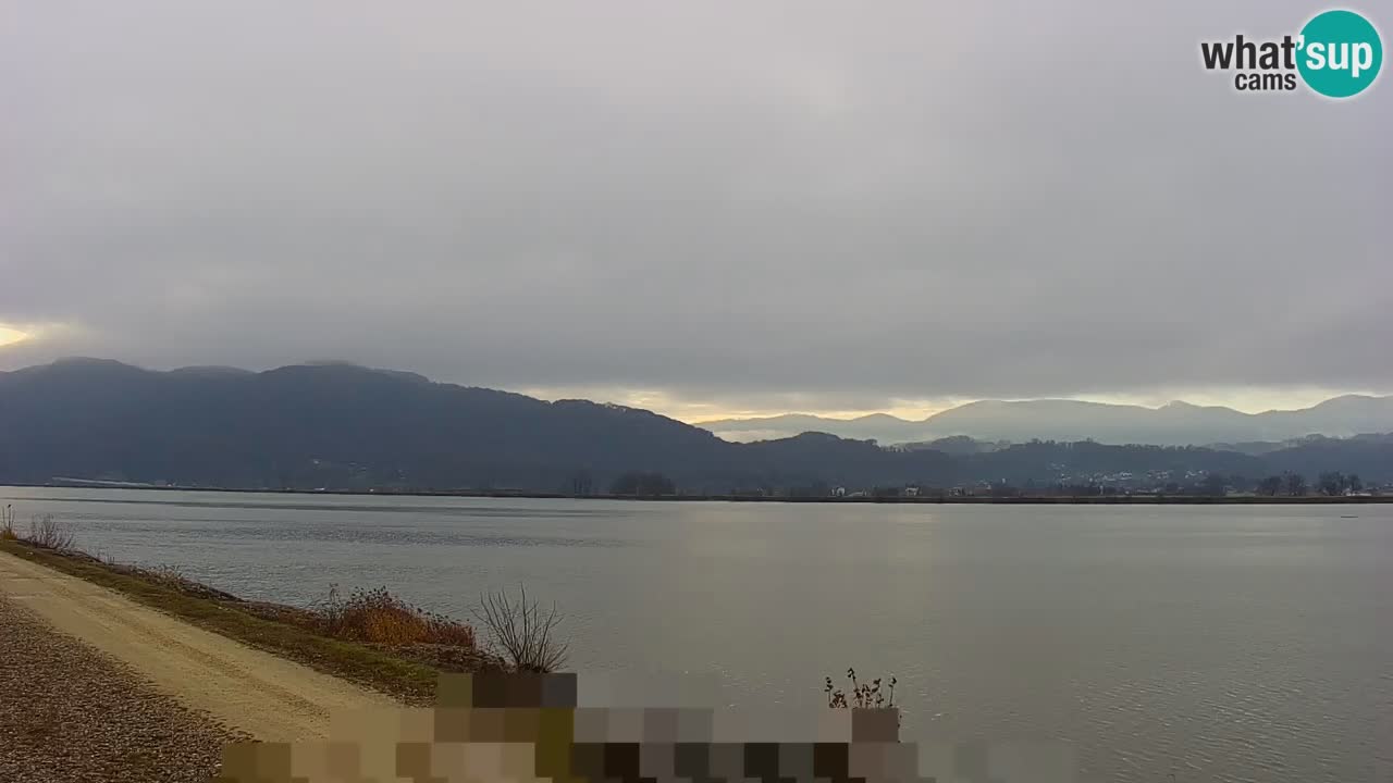 Live Webcam Lago di Brežice sul fiume Sava – Slovenia