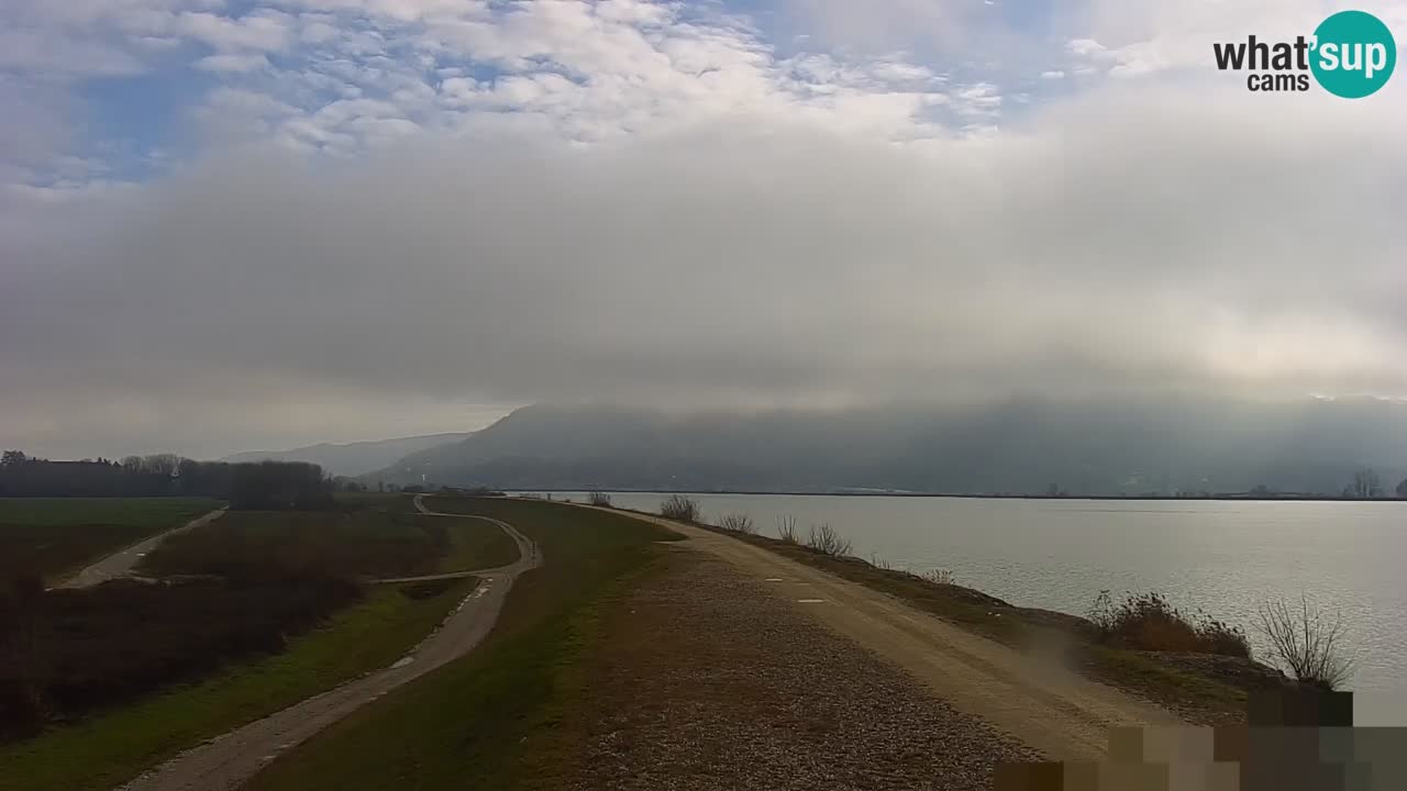 Spletna kamera v živo Brežiško jezero na reki Savi – Slovenija