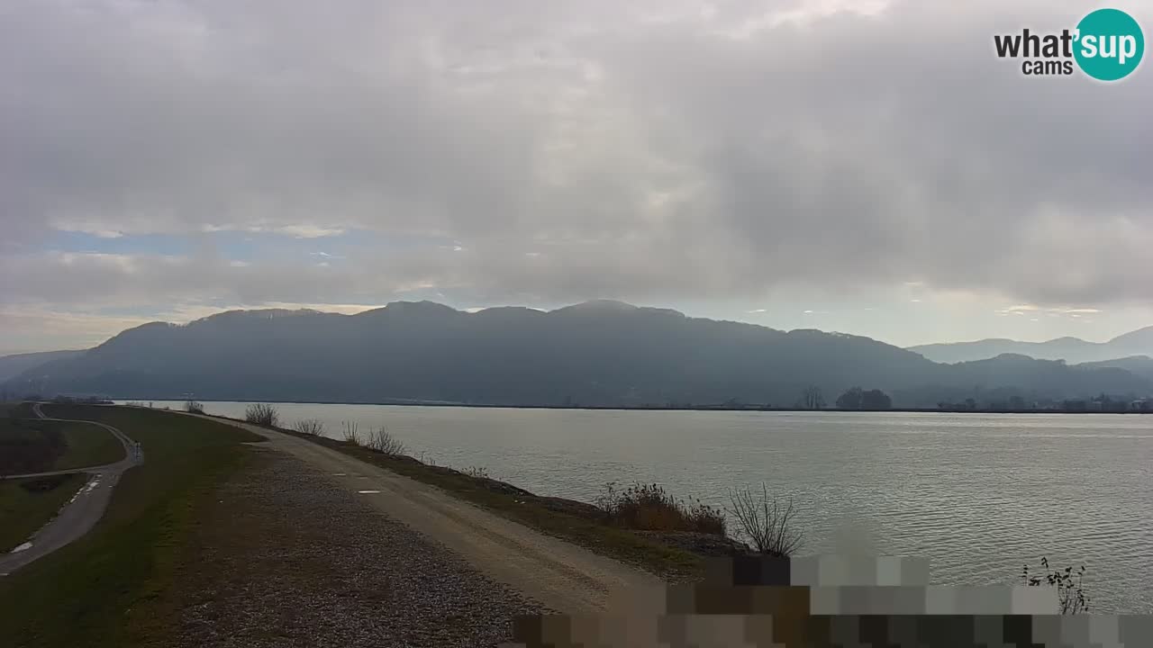 Live Webcam Lago di Brežice sul fiume Sava – Slovenia