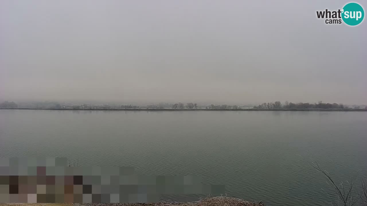 Live Webcam Brežice lake on Sava river – Slovenia