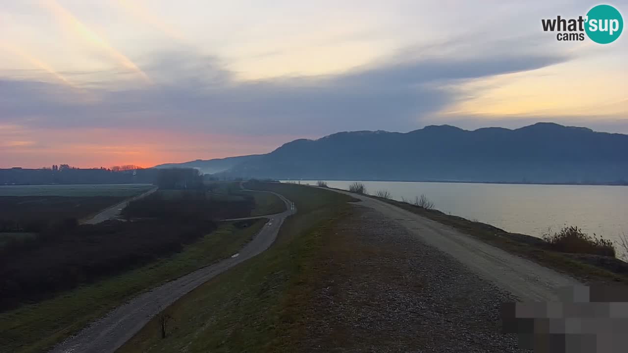 Spletna kamera v živo Brežiško jezero na reki Savi – Slovenija