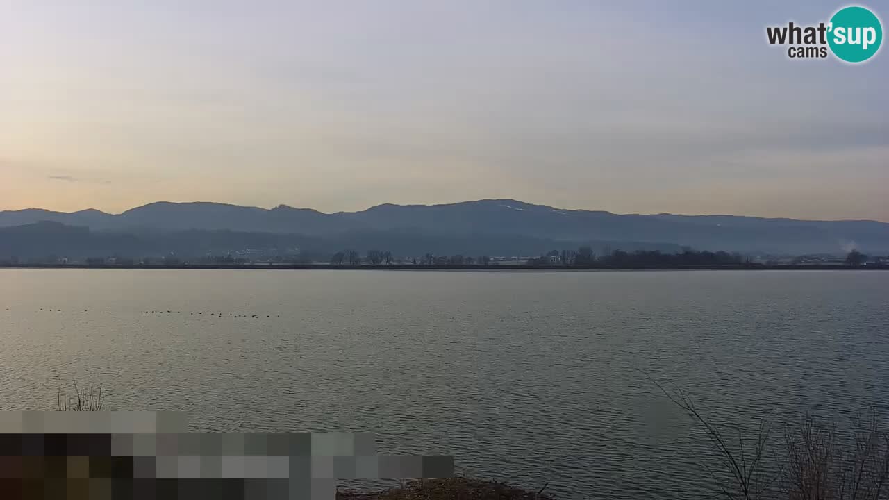 Webcam en vivo lago Brežice en el río Sava – Eslovenia