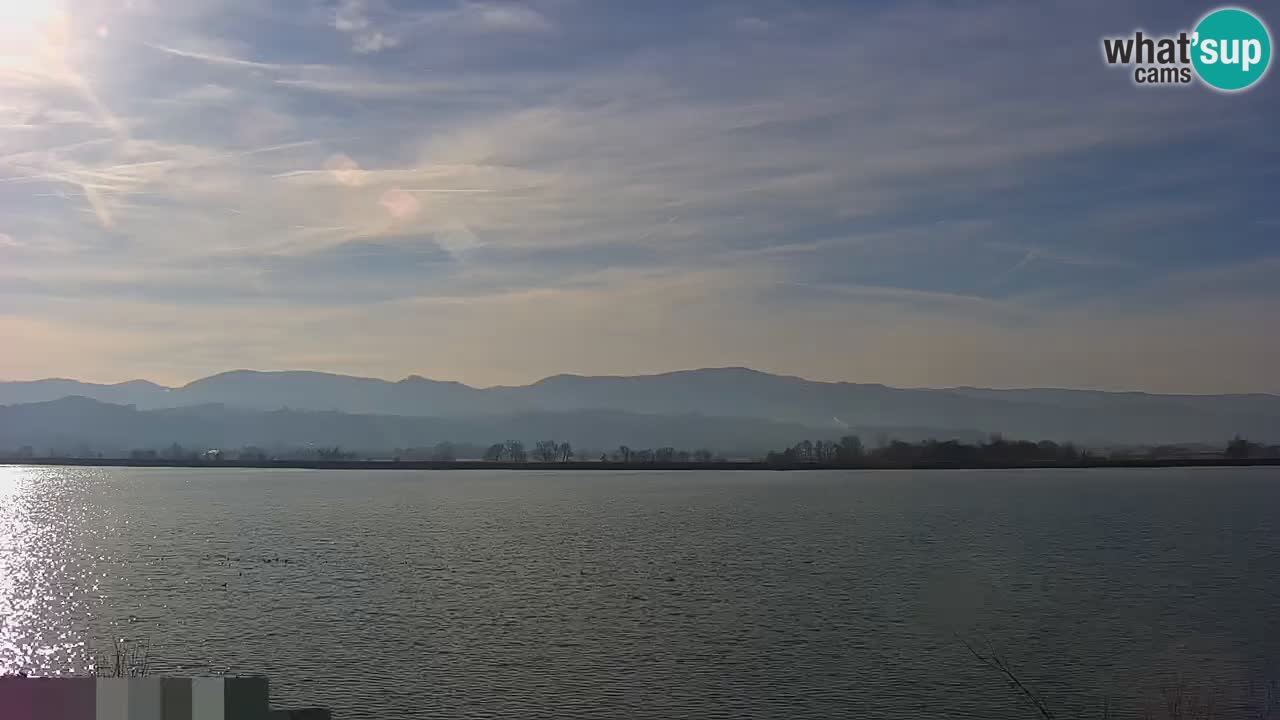 Live Webcam Lago di Brežice sul fiume Sava – Slovenia