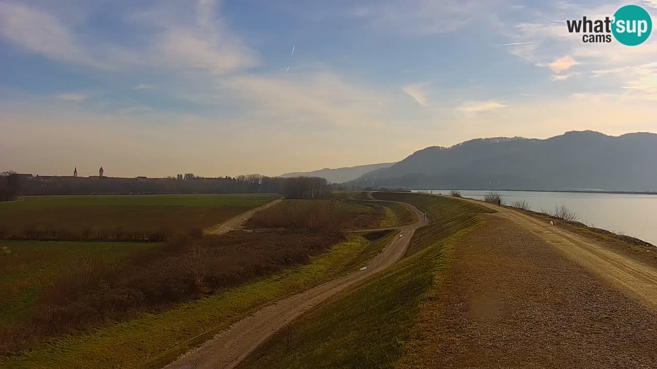 Webcam en vivo lago Brežice en el río Sava – Eslovenia