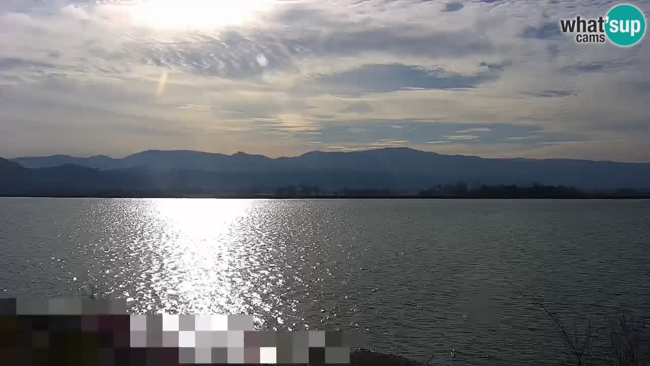 Live Webcam Lago di Brežice sul fiume Sava – Slovenia