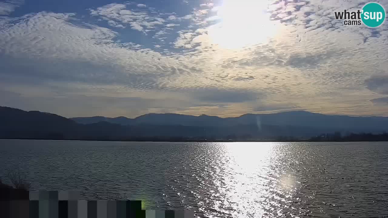 Webcam en vivo lago Brežice en el río Sava – Eslovenia