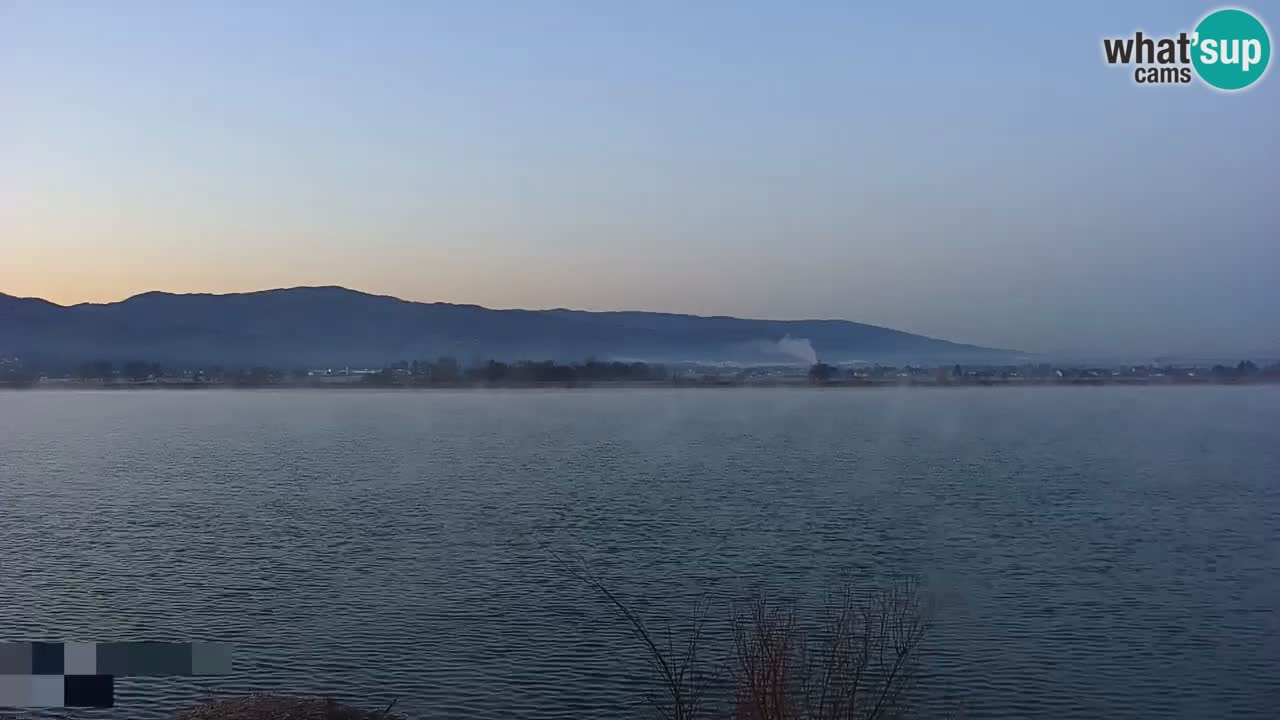 Spletna kamera v živo Brežiško jezero na reki Savi – Slovenija