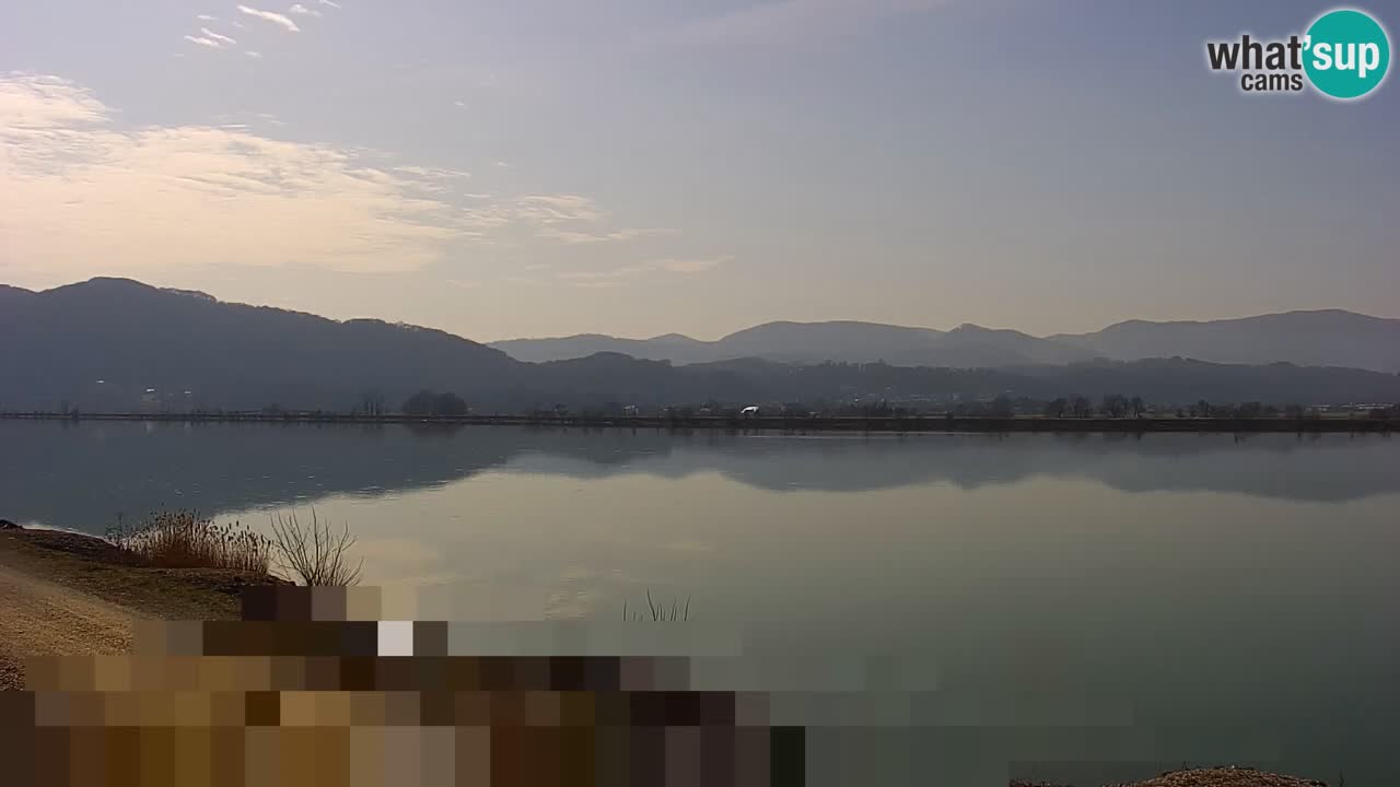 Live Webcam Brežice lake on Sava river – Slovenia