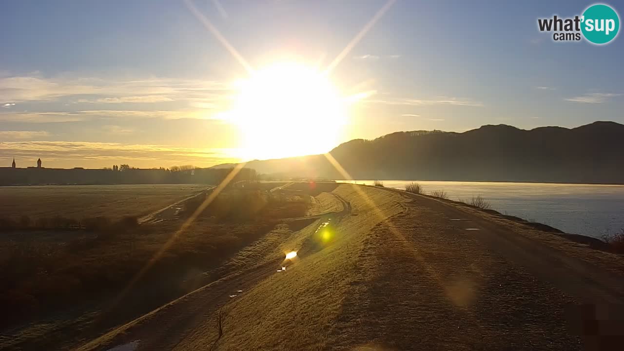 Spletna kamera v živo Brežiško jezero na reki Savi – Slovenija