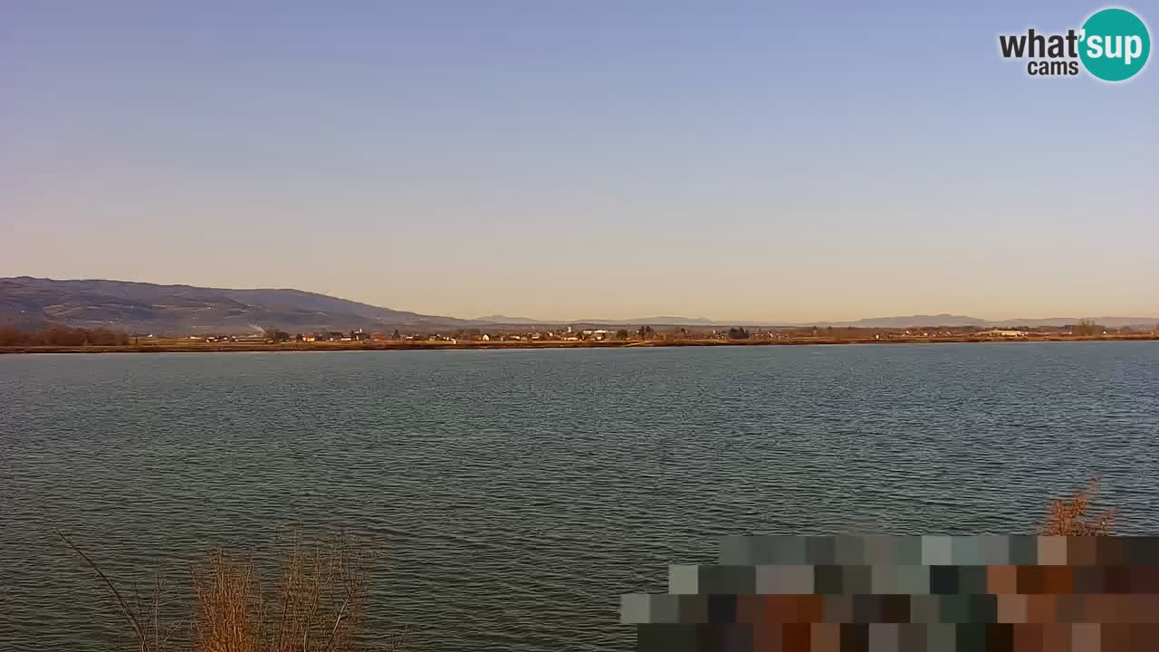 Webcam en vivo lago Brežice en el río Sava – Eslovenia