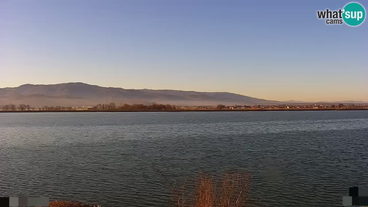 Webcam en direct Lac Brežice sur la rivière Sava – Slovénie