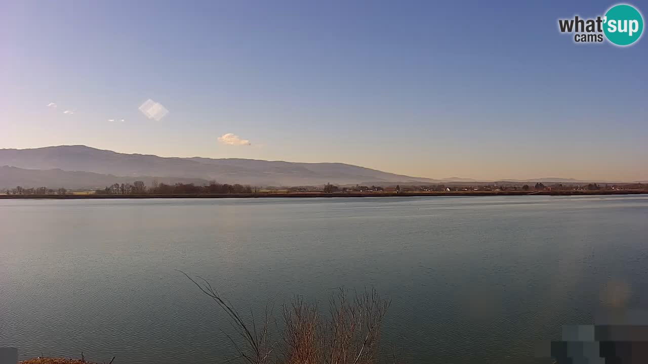 Spletna kamera v živo Brežiško jezero na reki Savi – Slovenija