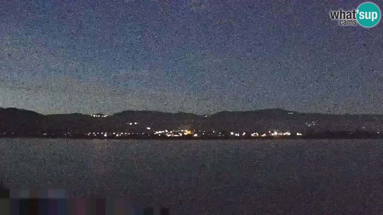 Webcam en vivo lago Brežice en el río Sava – Eslovenia