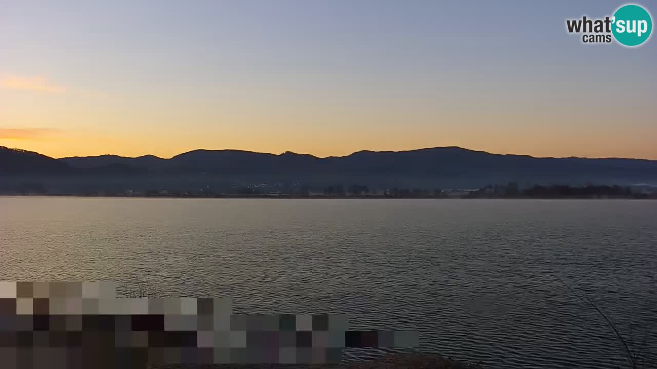 Live Webcam Lago di Brežice sul fiume Sava – Slovenia