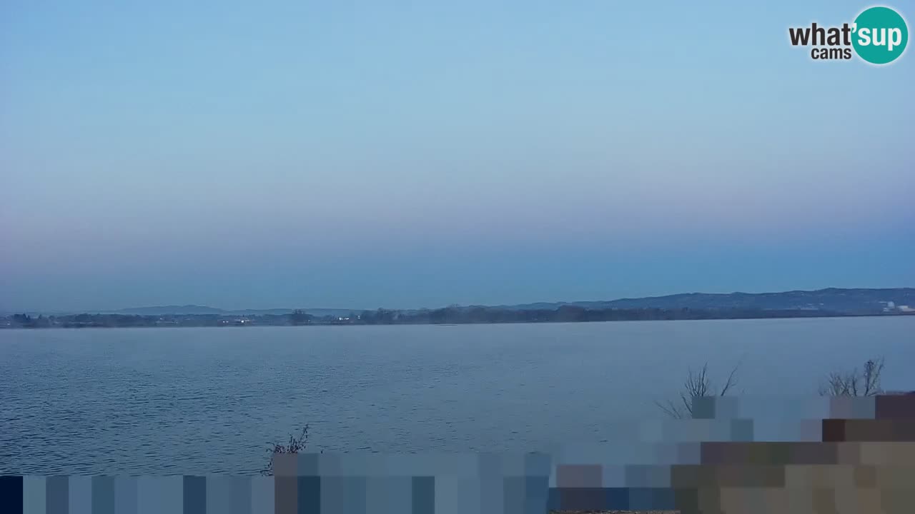 Webcam en vivo lago Brežice en el río Sava – Eslovenia