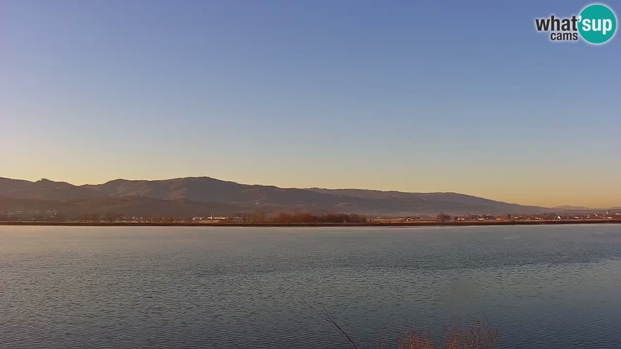 Live Webcam Brežice lake on Sava river – Slovenia