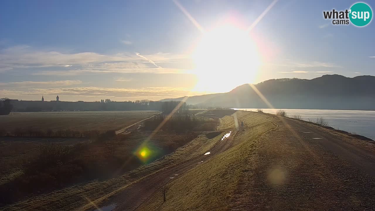 Live Webcam Lago di Brežice sul fiume Sava – Slovenia