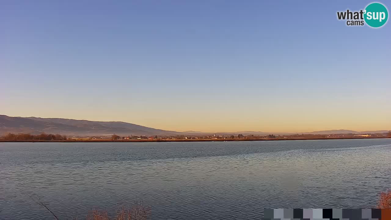 Webcam en direct Lac Brežice sur la rivière Sava – Slovénie