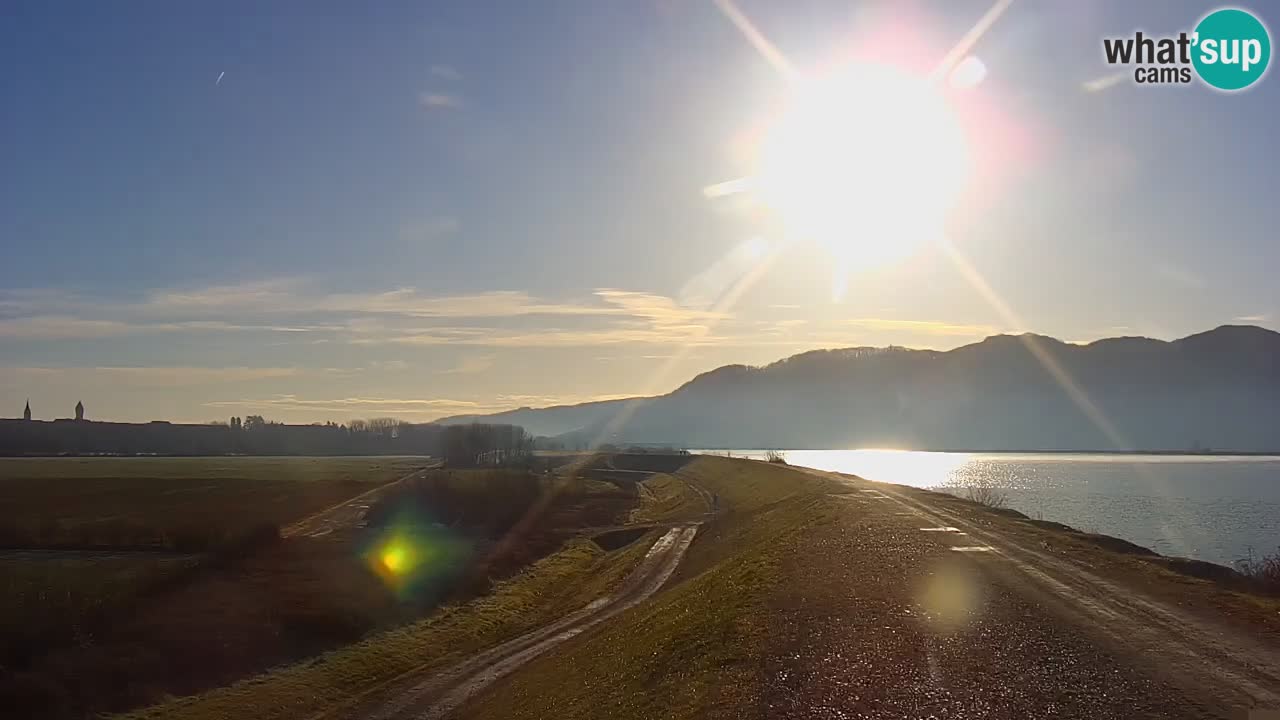 Webcam en direct Lac Brežice sur la rivière Sava – Slovénie