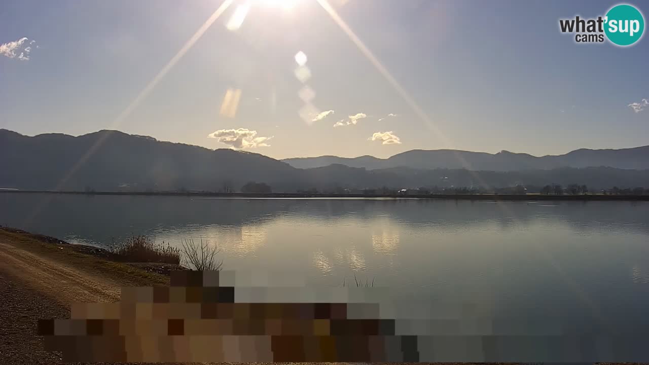 Webcam en direct Lac Brežice sur la rivière Sava – Slovénie