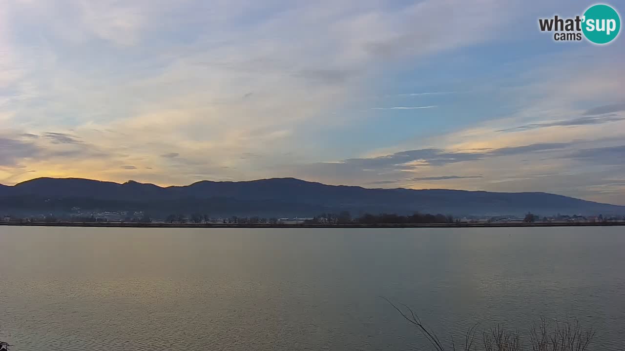 Live Webcam Brežice lake on Sava river – Slovenia