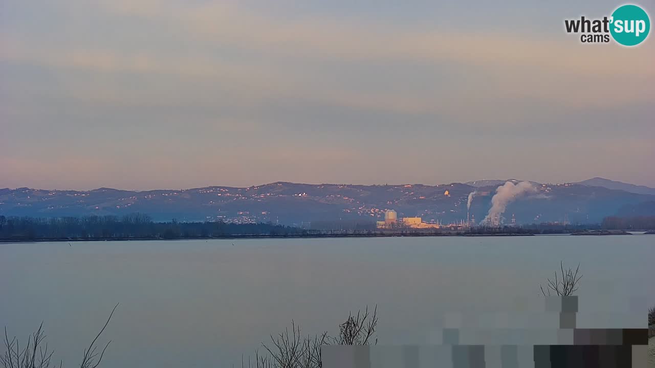 Live Webcam Lago di Brežice sul fiume Sava – Slovenia