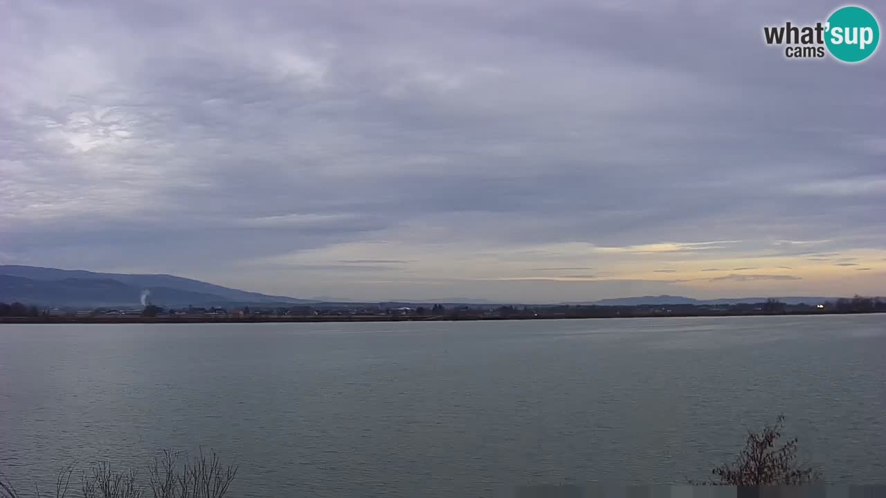 Live Webcam Lago di Brežice sul fiume Sava – Slovenia