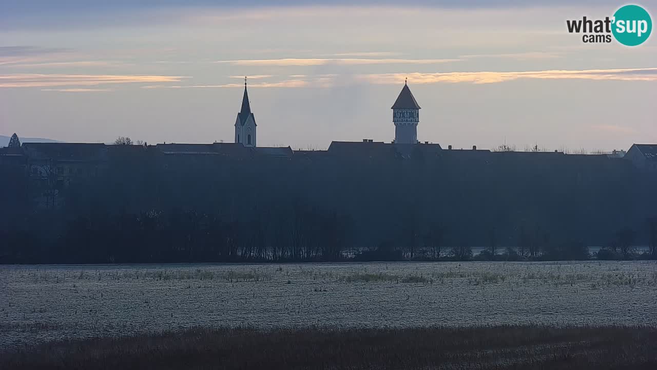 Webcam en direct Lac Brežice sur la rivière Sava – Slovénie