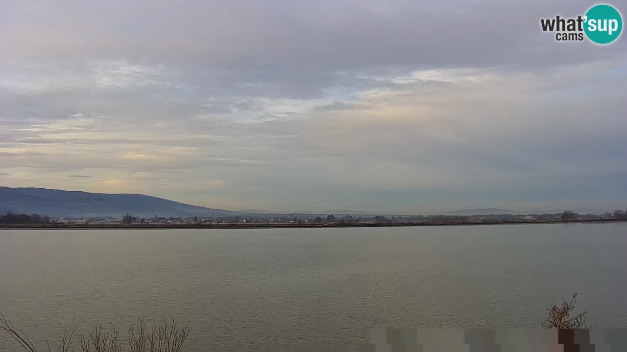 Live Webcam Brežice lake on Sava river – Slovenia