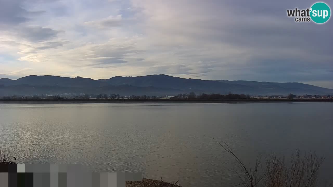 Live Webcam Brežice See am Fluss Sava – Slowenien