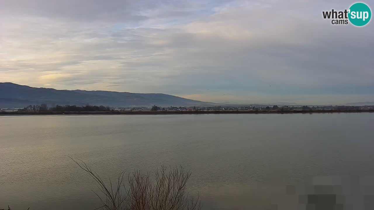 Live Webcam Lago di Brežice sul fiume Sava – Slovenia