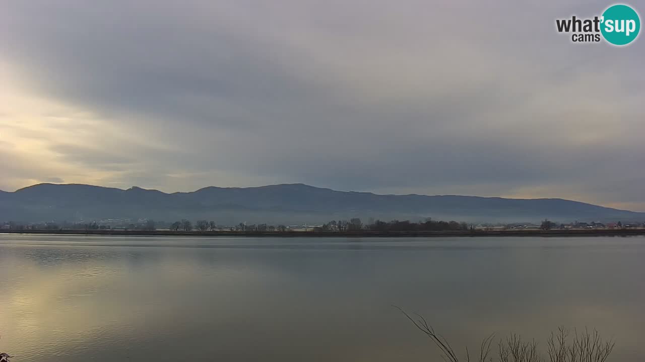 Spletna kamera v živo Brežiško jezero na reki Savi – Slovenija