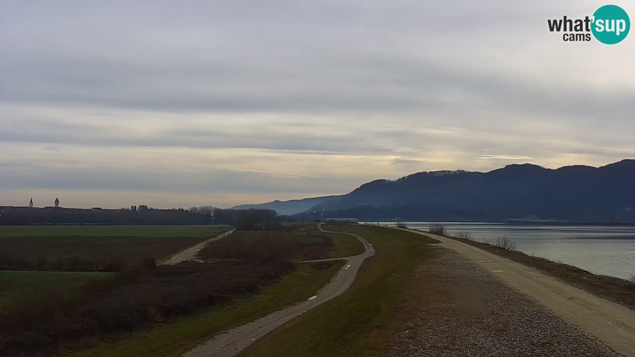 Webcam en direct Lac Brežice sur la rivière Sava – Slovénie