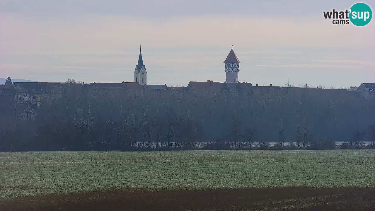 Live Webcam Brežice lake on Sava river – Slovenia