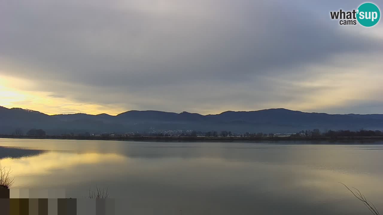 Live Webcam Brežice lake on Sava river – Slovenia