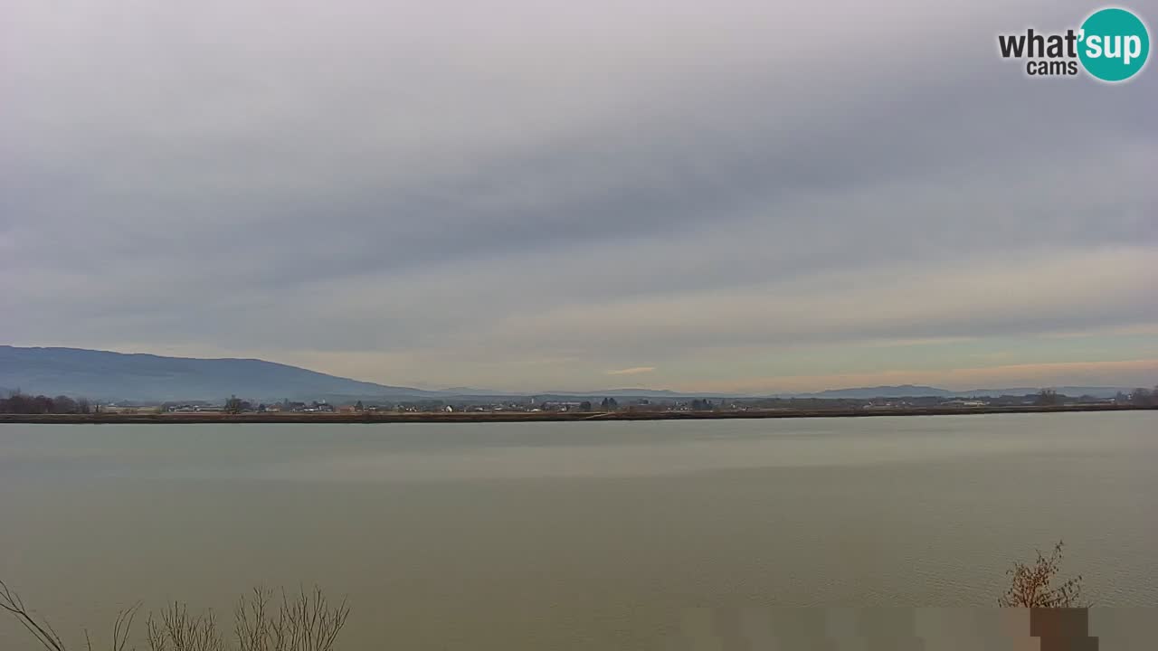 Live Webcam Brežice See am Fluss Sava – Slowenien