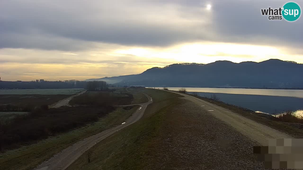 Live Webcam Brežice lake on Sava river – Slovenia