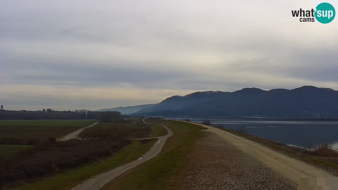 Live Webcam Lago di Brežice sul fiume Sava – Slovenia