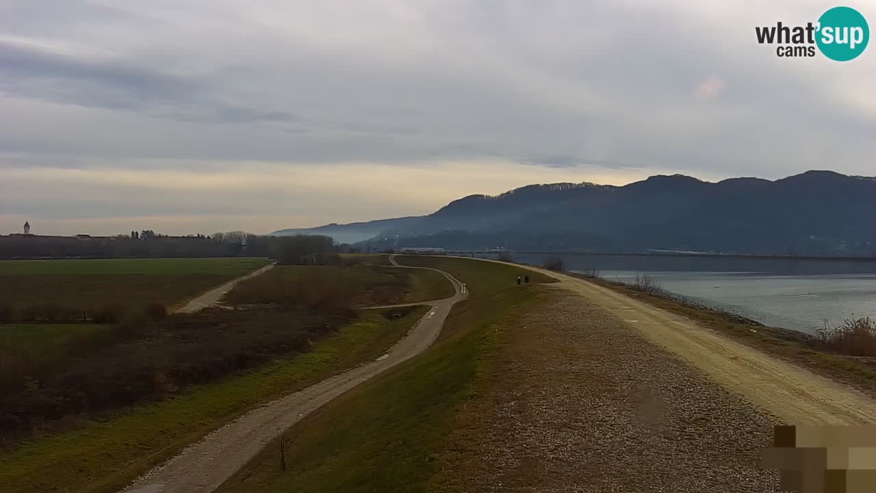 Webcam en vivo lago Brežice en el río Sava – Eslovenia