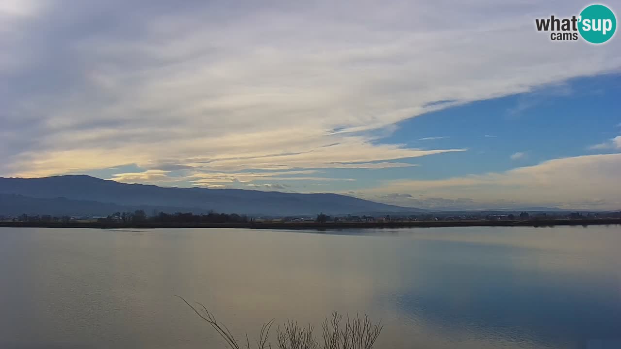 Live Webcam Brežice See am Fluss Sava – Slowenien