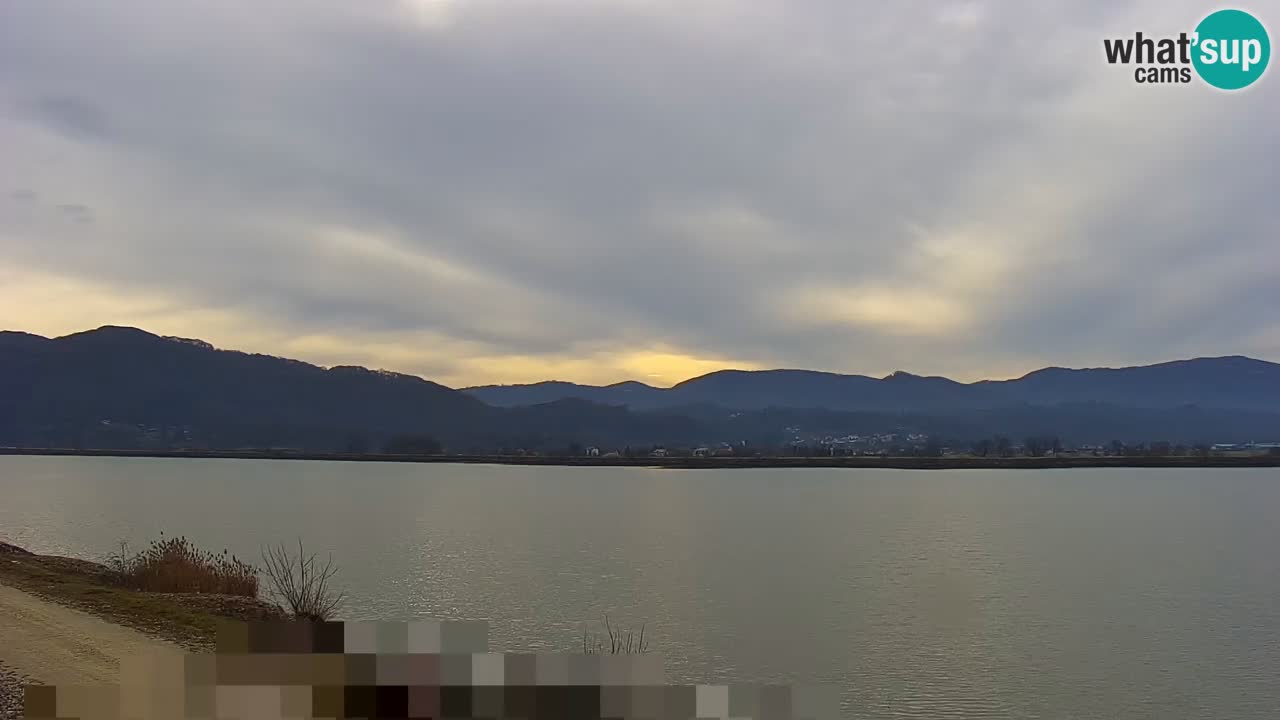 Webcam en vivo lago Brežice en el río Sava – Eslovenia