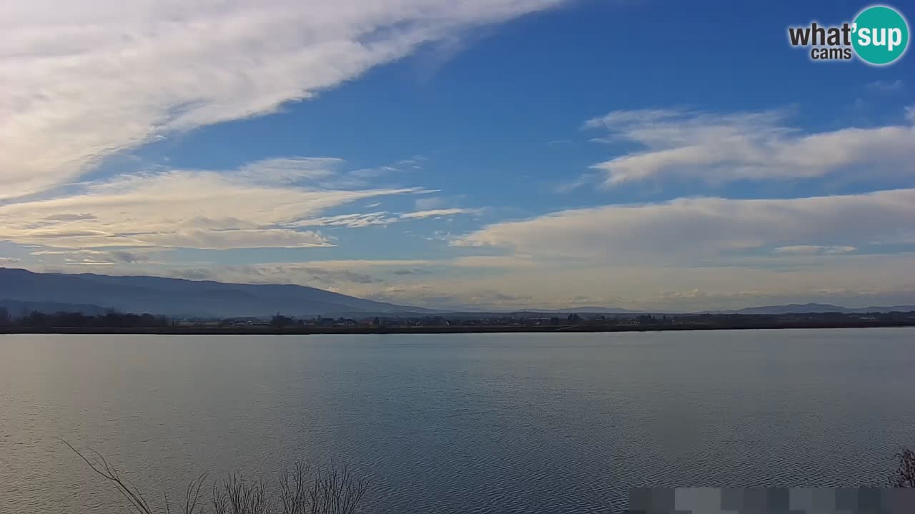 Webcam en vivo lago Brežice en el río Sava – Eslovenia