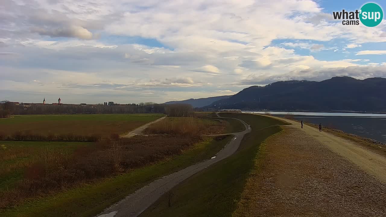 Live Webcam Lago di Brežice sul fiume Sava – Slovenia